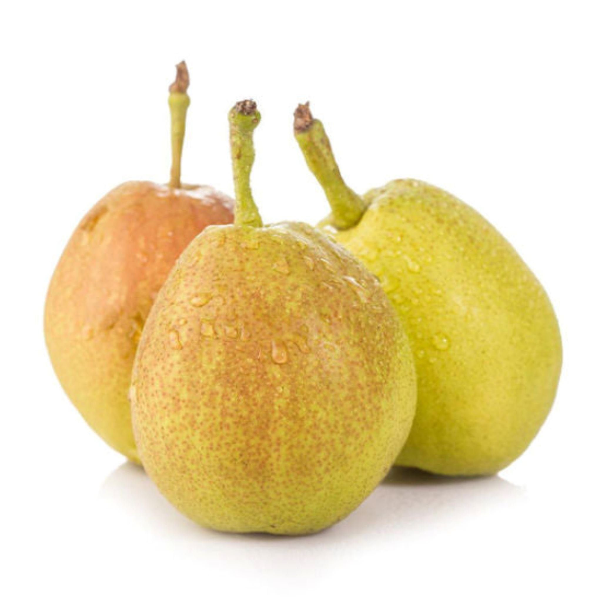 Fragrant Pear Fragrant pear