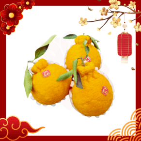 Korea Jeju Hallabong Mandarin Orange