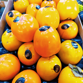 Spain Persimmon