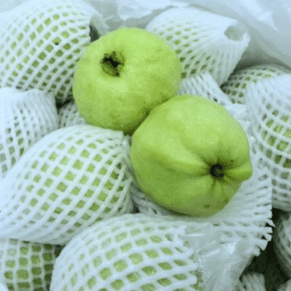 thai guava