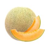 Australia Rock Melon