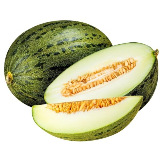 French sapo melon