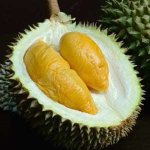 D13 Durian ($15/kg)