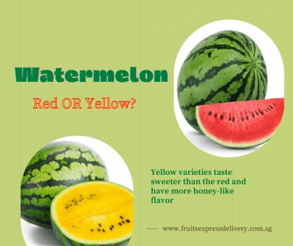 Watermelon (Yellow) (1 Whole)