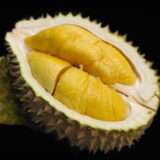 Black gold durian
