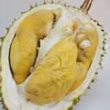 Green skin king durian