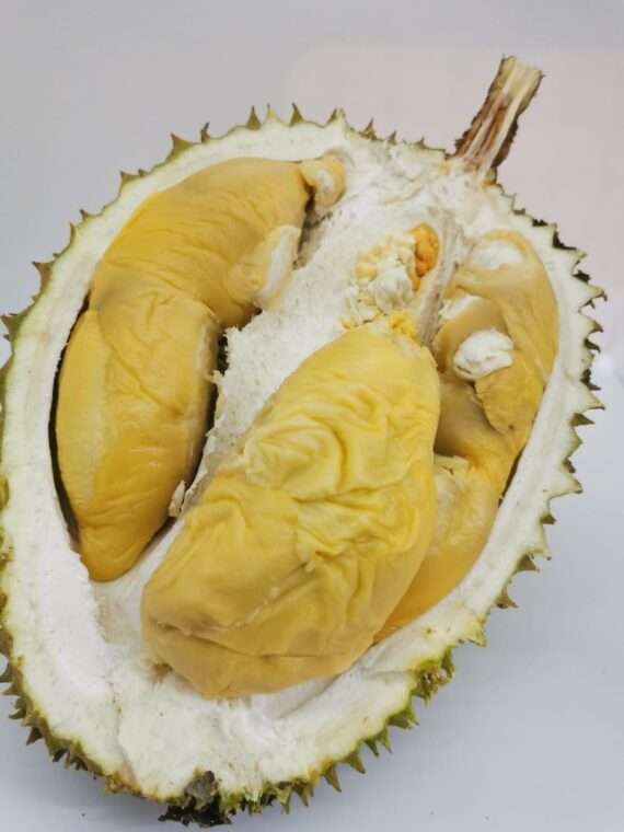 Tekka durian