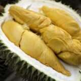 Durian puree