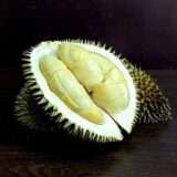 Black thorn durian