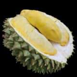 Butter king durian