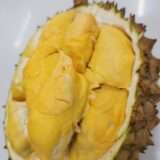 Green skin king durian