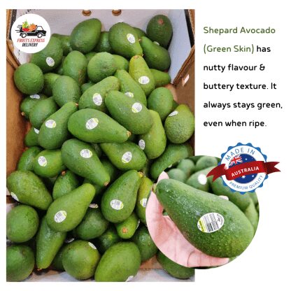 Avocado (Green Skin)