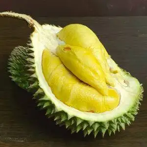 Black gold durian