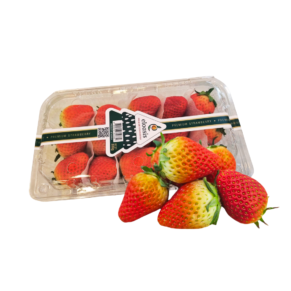 Korea strawberry