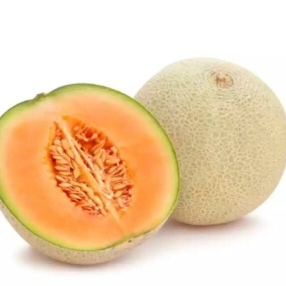 Thailand rock melon