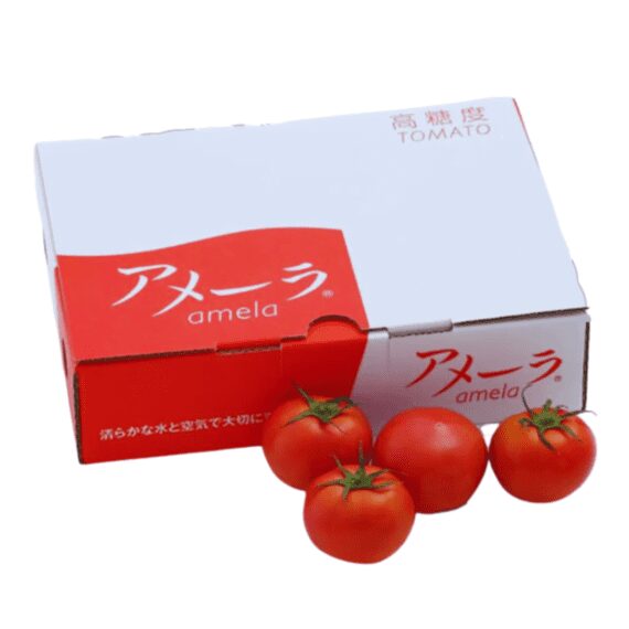 Japan tomato