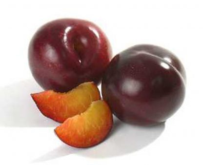 Flavour Fall Plum (5 Pieces)