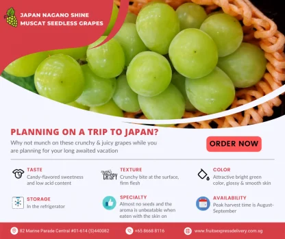 Japan Nagano Shine Muscat Seedless Grapes