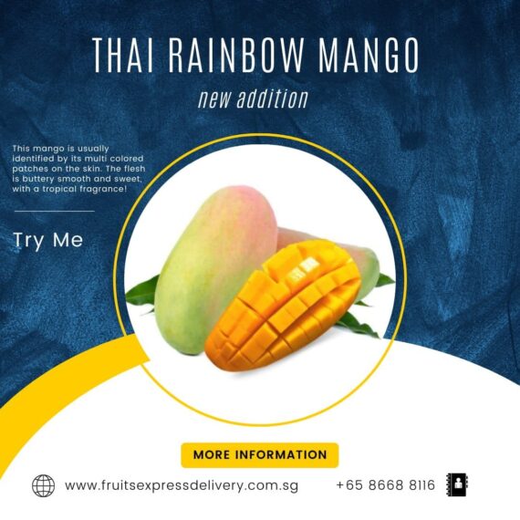 Thai rainbow mango
