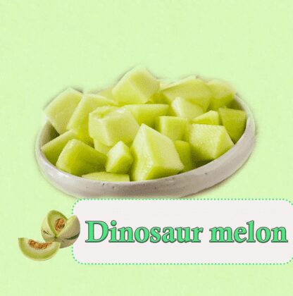 Dinosaur Melon 300g