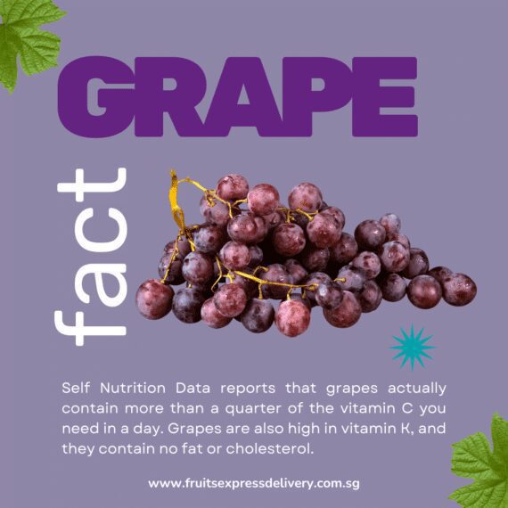Candy snap red seedless grapes