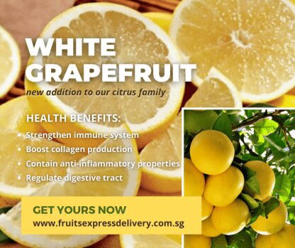 White Grapefruit (1pc)