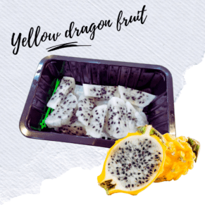 Ecuador yellow dragon fruit