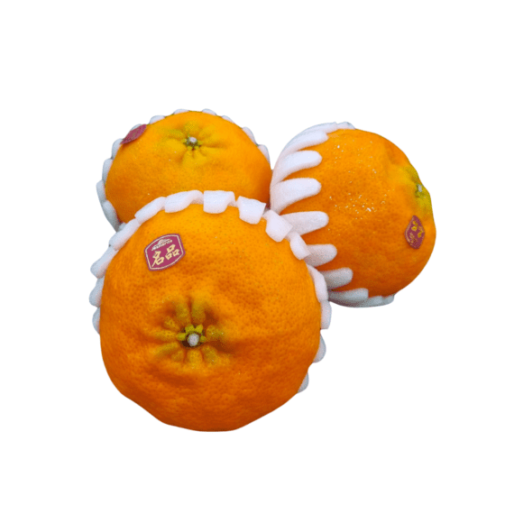 Korea red hyang mandarin orange