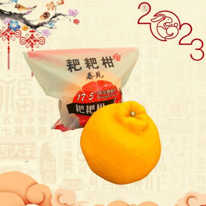 Chun Jian Mandarin Orange