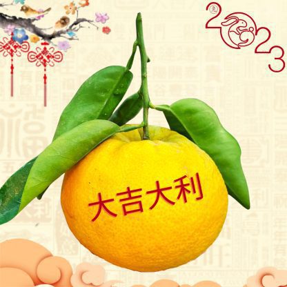 Kiat King Mandarin Orange 大吉大利 (Large) (2 Pieces)