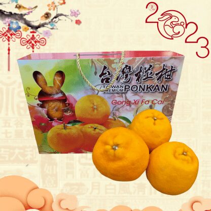 Taiwan Premium Ponkan (12pcs/box)