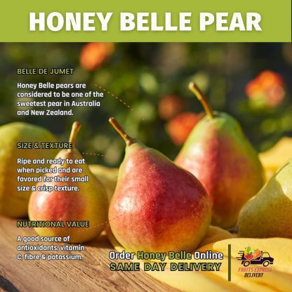 Honey Belle Pear (5 Pieces)
