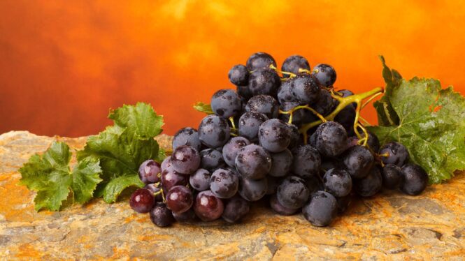 Black seedless grapes your diet