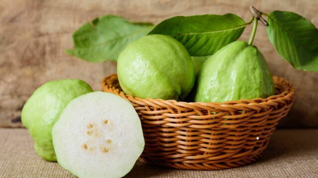 Guava powerful antioxidant