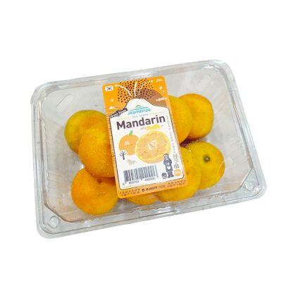 Korea Jeju Mandarin (500g/box)