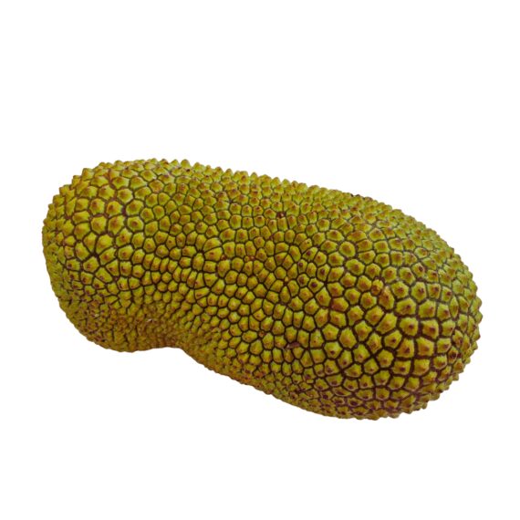 Durian cempedak
