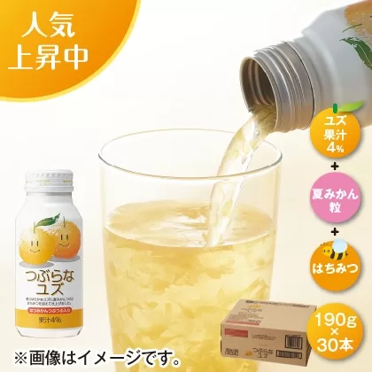 Japan Juice/Drinks