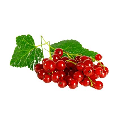 Red Currants (125g/box)