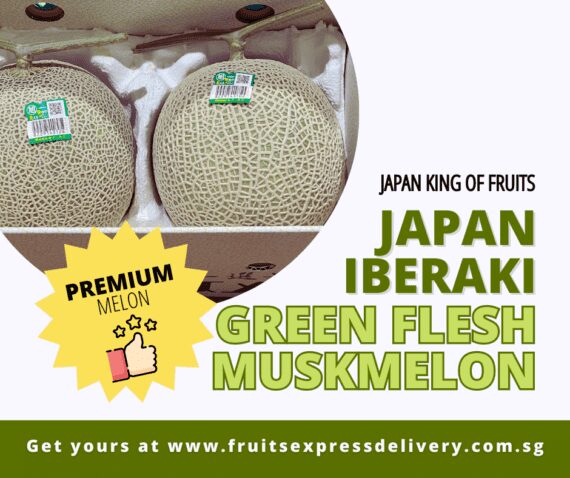 Japan ibaraki premium green flesh muskmelon
