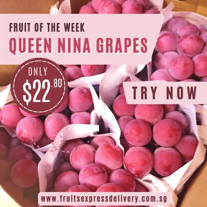 Premium Queen Nina Grapes (500g/box)