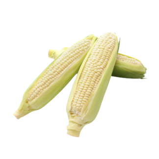 Malaysia White Corn