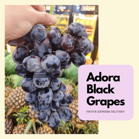 Adora black seedless grapes. Png