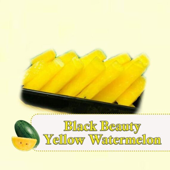 Black beauty yellow watermelon re 1. Jpg