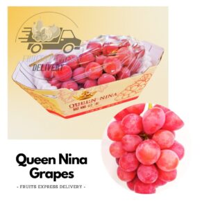 Premium queen nina grapes fruits delivery. Jpg