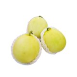 Snow melon fruits delivery singapore. Jpg