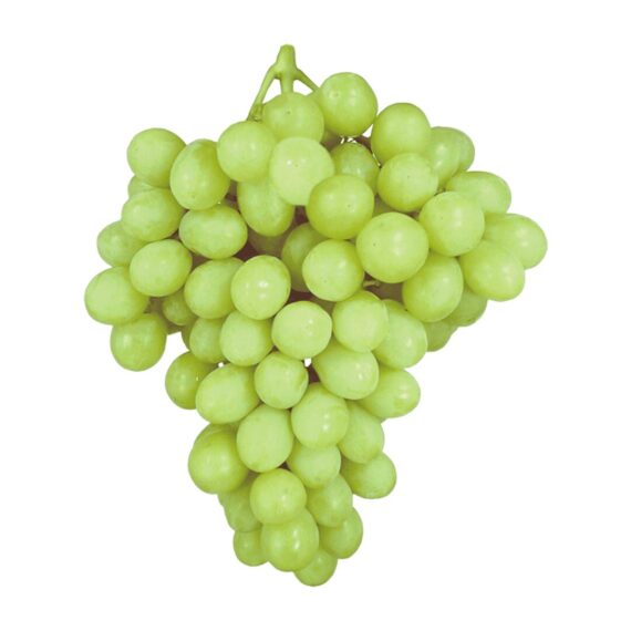 Usa royalty autumn king green seedless grapes fruits express delivery. Png