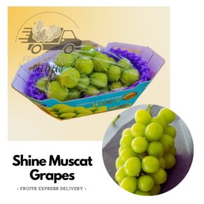 shine muscat grapes fruits delivery singapore.jpg