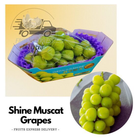Shine muscat grapes fruits delivery singapore. Jpg