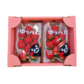 Japan amaou strawberry