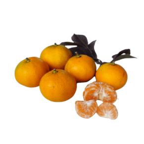 Emperor tangerine